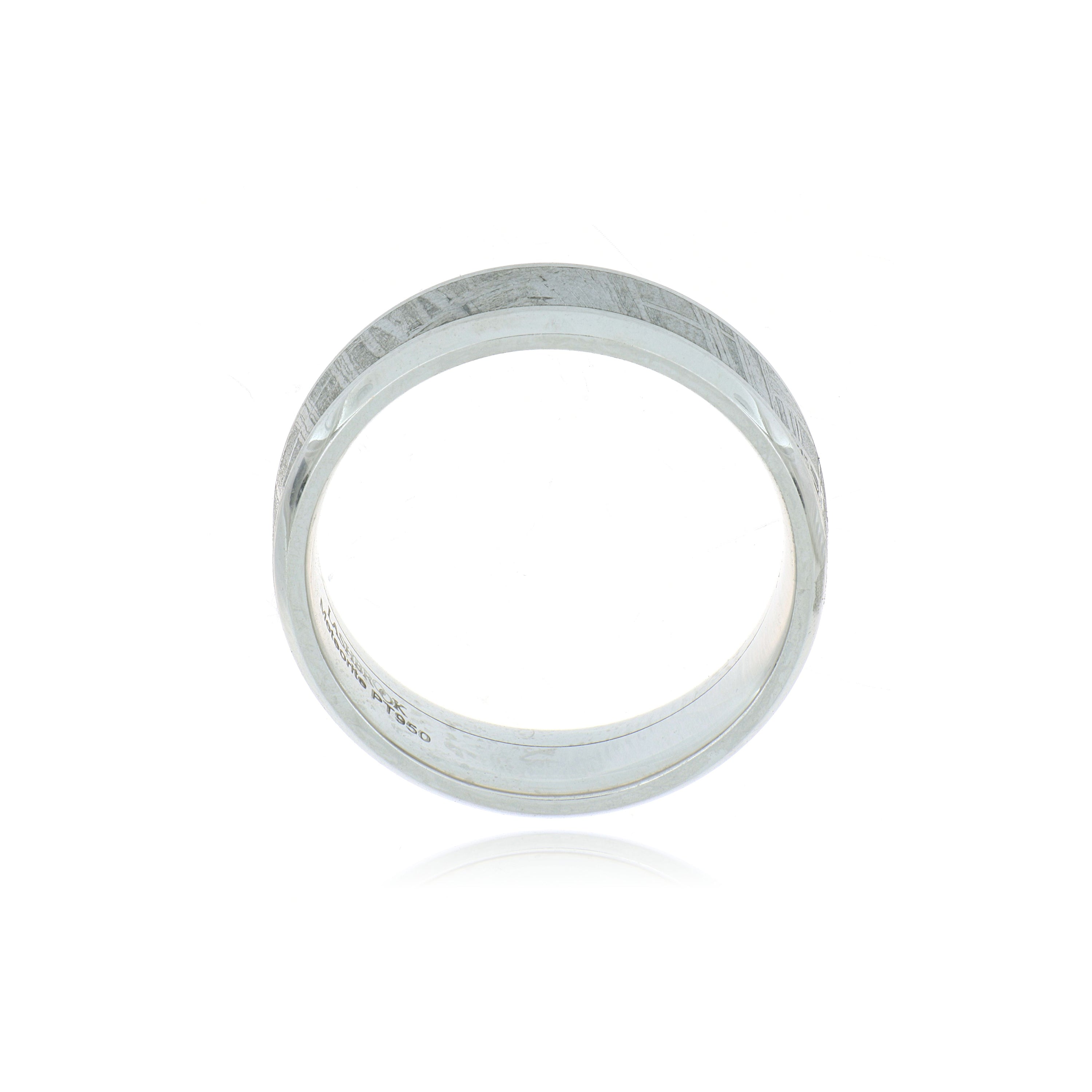 Platinum and Meteorite Men's Wedding Band