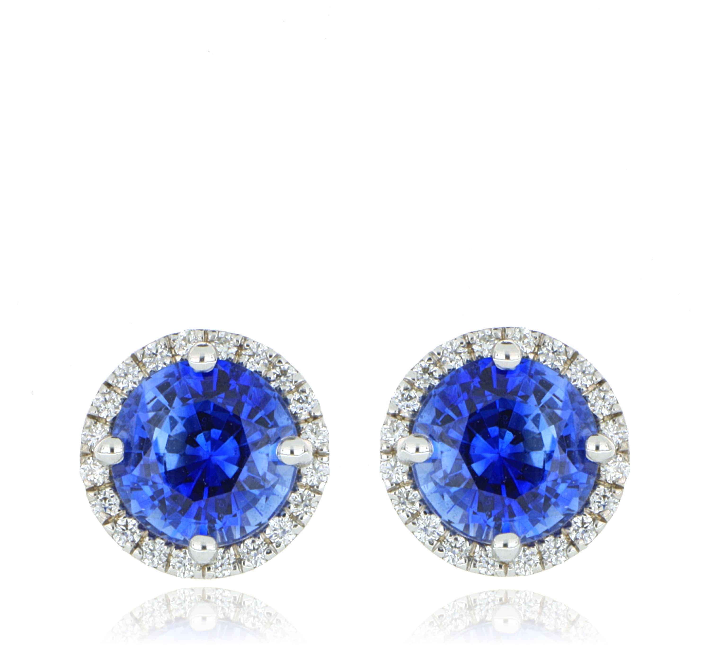 18k White Gold Blue Sapphire and Diamond Halo Stud Earrings - Charles Koll Jewelers