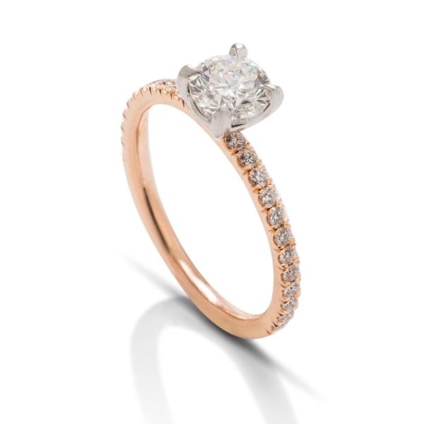 Rose and Platinum Simple Solitaire with Diamond Shank - Charles Koll Jewellers