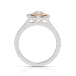 Compass Double Halo Diamond Engagement Ring - Charles Koll Jewellers
