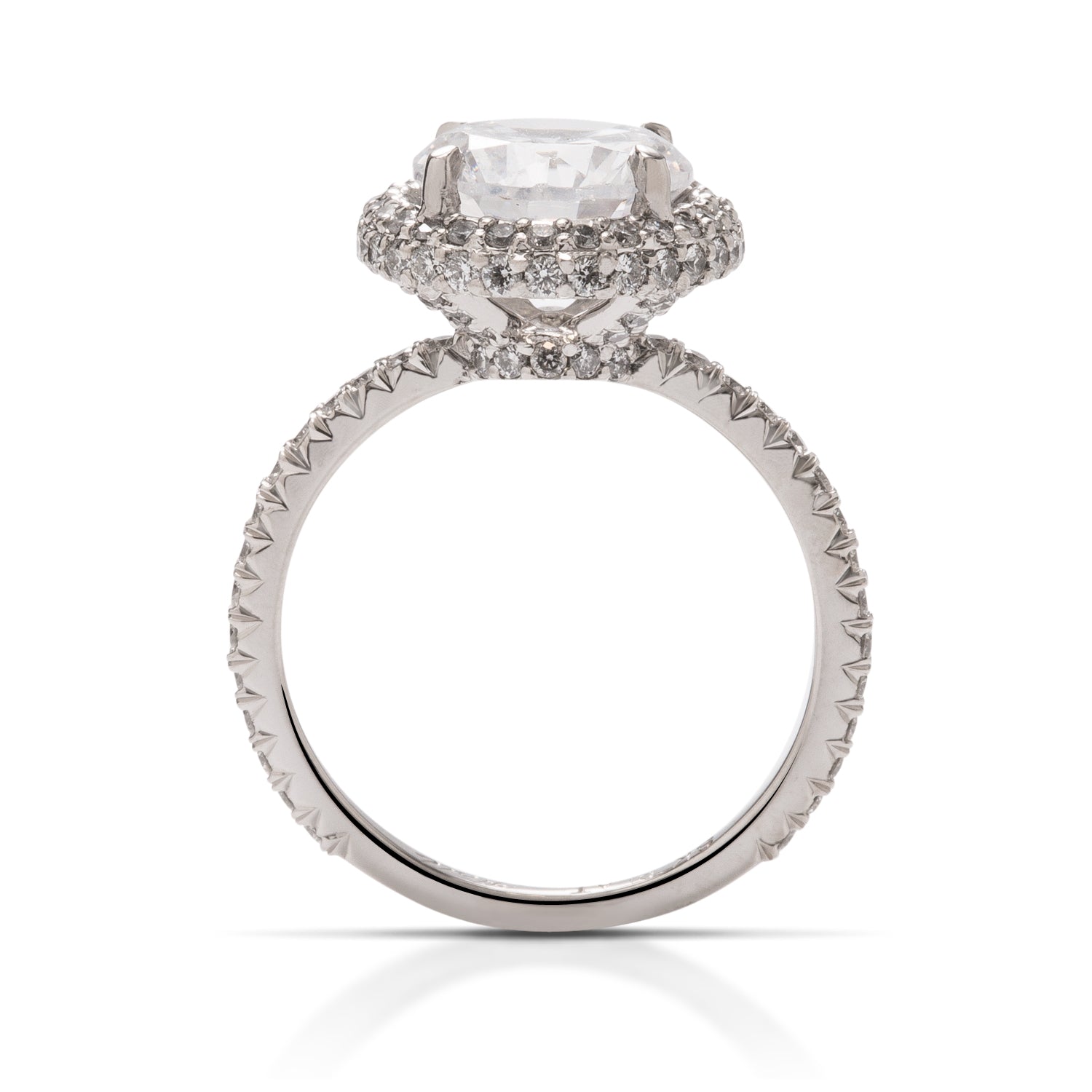 Thin Band Halo Engagement Ring - Charles Koll Jewellers