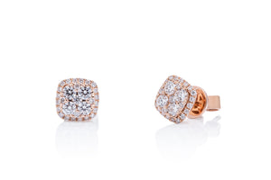 Rose Gold Diamond Studs - Charles Koll Jewellers