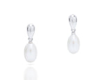 Pearl Drop Earrings - Charles Koll Jewellers